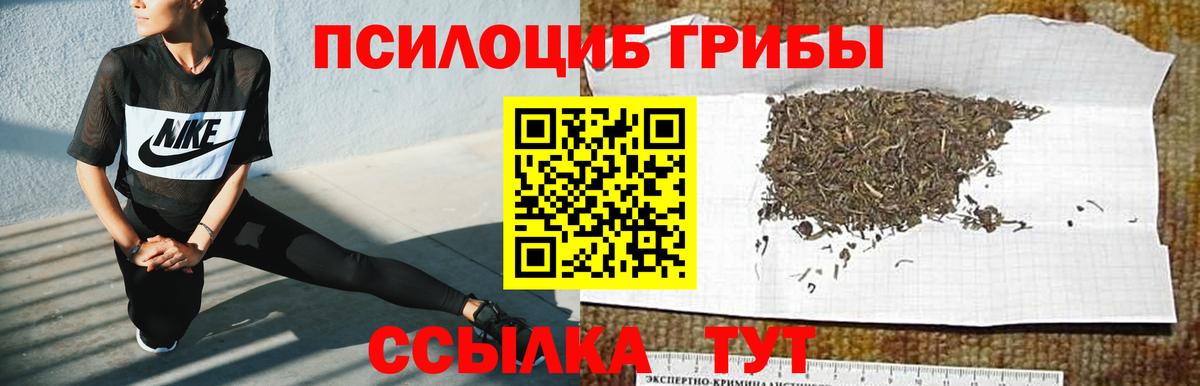 Галлюциногенные грибы мицелий  Вход с VPN  Сарапул  Галлюциногенные грибы прущие грибы 