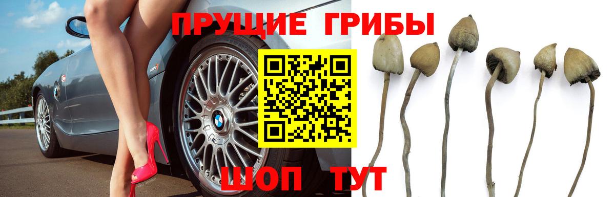 Галлюциногенные грибы мухоморы Сарапул